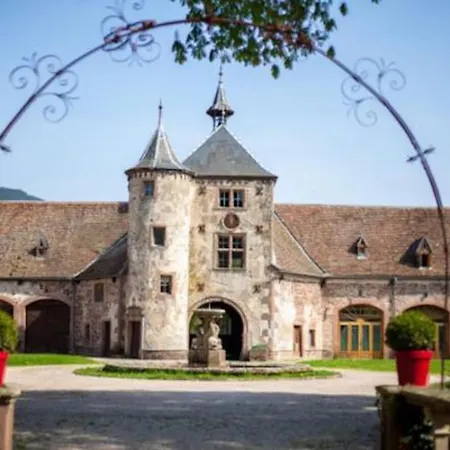 Le Patio Du Chateau De Vakantiehuis Thanvillé